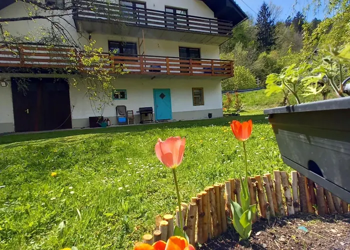 The RiverSide Chill Hostel